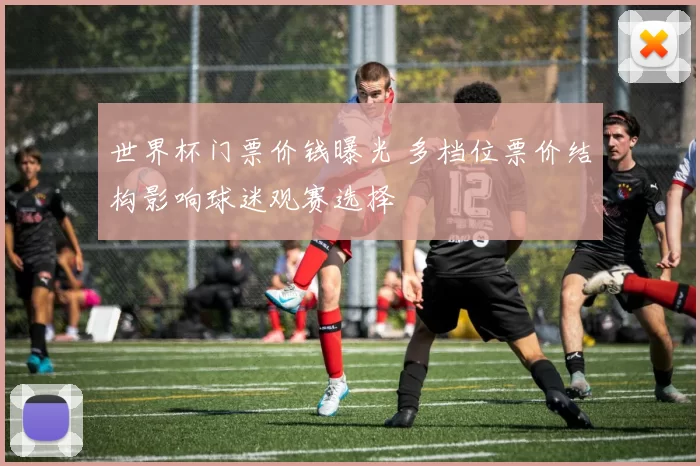 世界杯门票价钱曝光 多档位票价结构影响球迷观赛选择